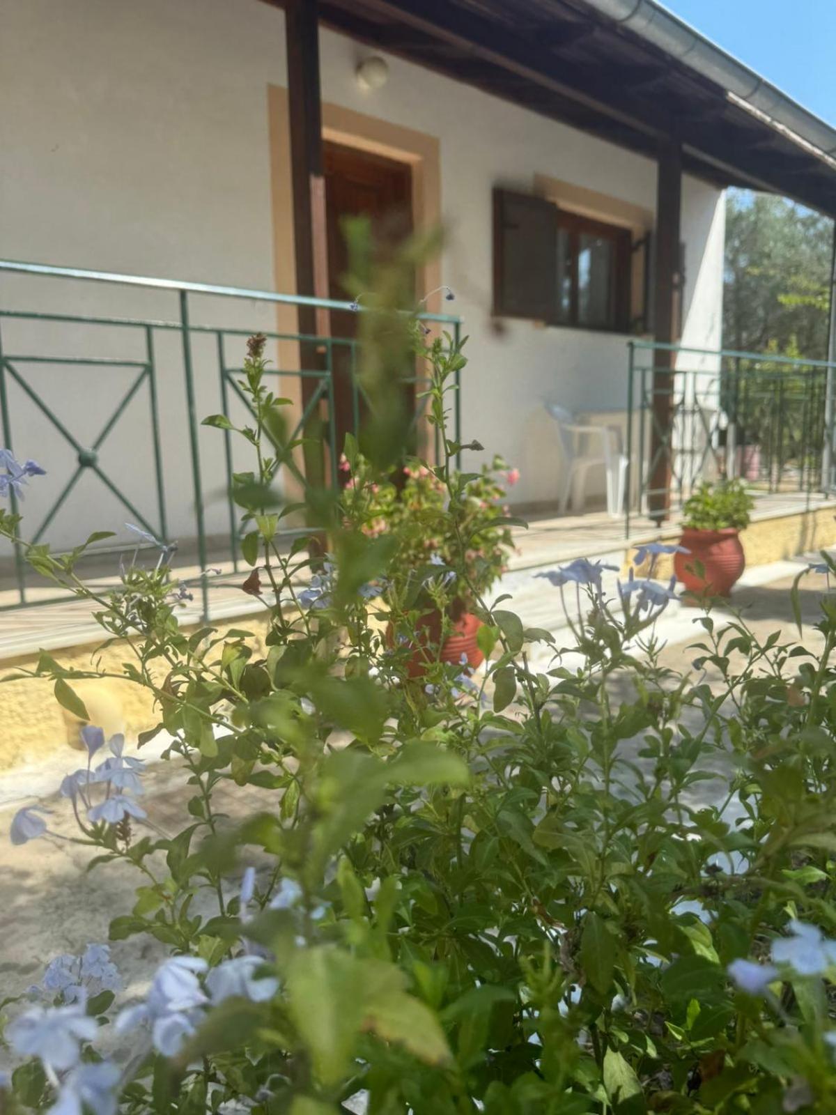 Apartament Studio Savvas Melíkia Zewnętrze zdjęcie